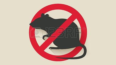 Illustration - Mépris social de la municipalité et du propriétaire  