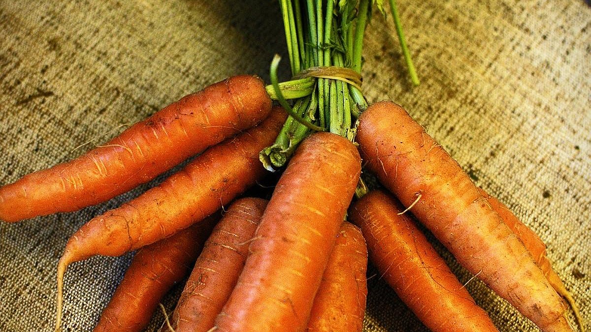 Illustration - C’est-y « bio » ?