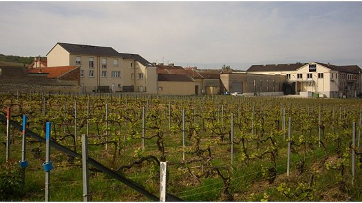 Illustration - Les patrons du champagne s’inquiètent…