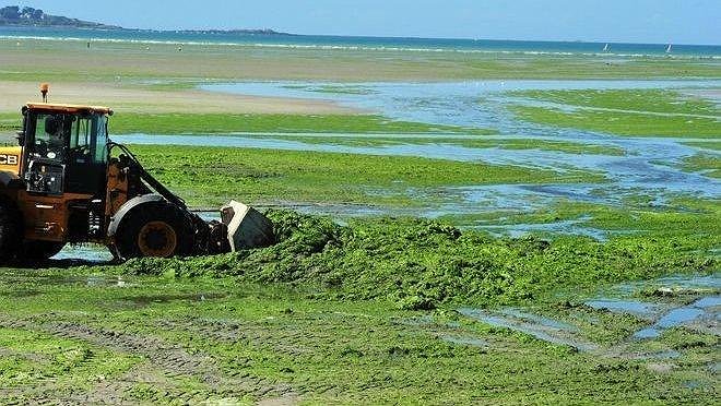 Illustration - La république bourgeoise sait récompenser les siens