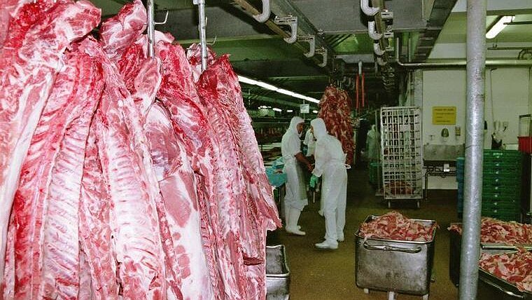 Illustration - Don du ciel 