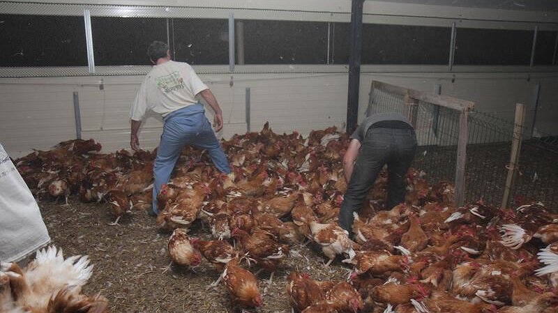 Illustration - Esclavage moderne