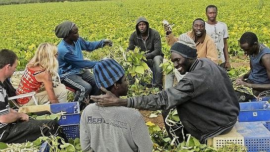 Illustration - L’exploitation des travailleurs d’ici et d’ailleurs