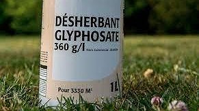 Illustration - Glyphosate : les profits de Bayer d’abord