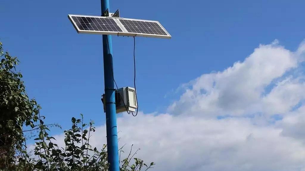 Illustration - La tête dans le sable