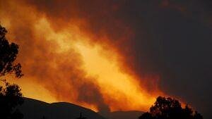 Illustration - Incendies en Grèce : austérité criminelle