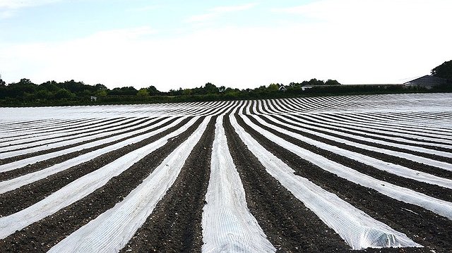 Illustration - Microplastiques, maxi pollution