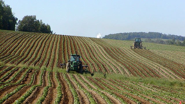 Illustration - Du plomb dans l’aile, vraiment ?