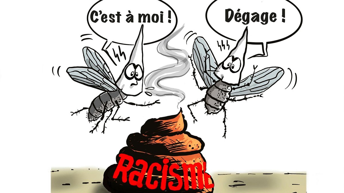 Illustration - actes racistes, l'Etat regarde ailleurs