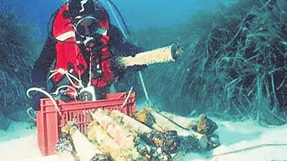 Illustration Les munitions des guerres mondiales toujours nuisibles