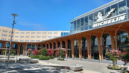 Illustration L'arbuste qui cache la forêt