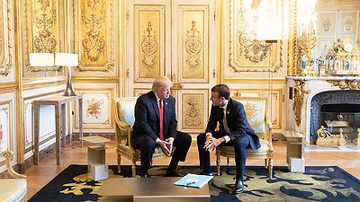 Illustration match entre vautours