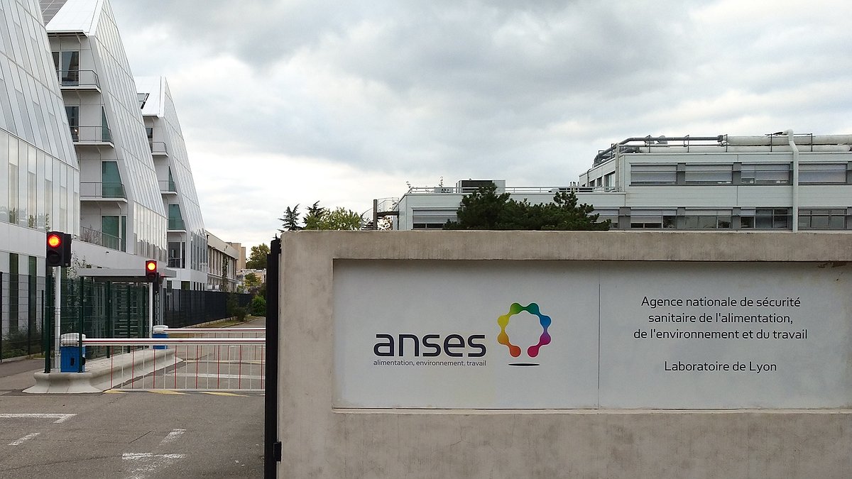 Illustration capitalisme toxique