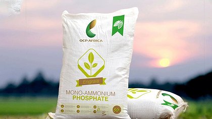 Illustration Les bombes ne sont pas les seules à tuer