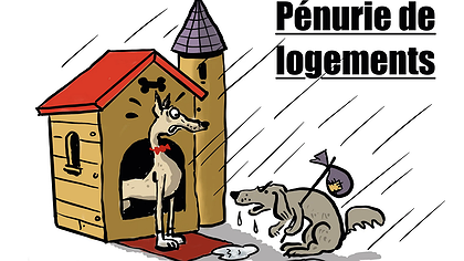 Illustration un toit pour toutes et tous