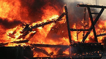 Illustration feu de tout bois