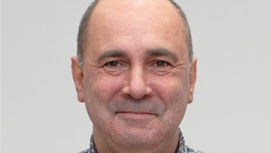 Illustration - Fougères