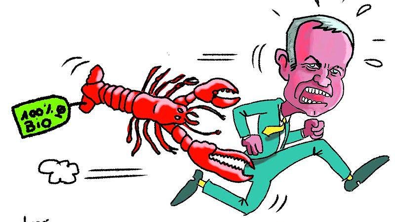 Illustration - homard m’a tuer