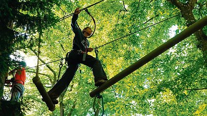 Illustration article