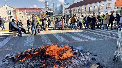 Illustration article