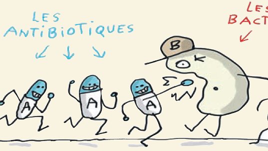 Illustration - Carrousel de la connaissance